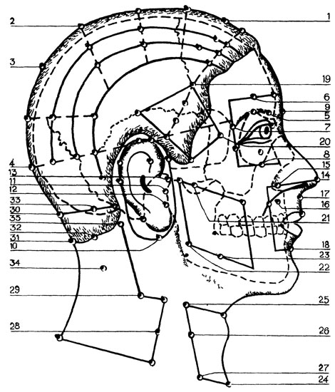 Рис. 5. Акупунктурные точки в области головы и шеи